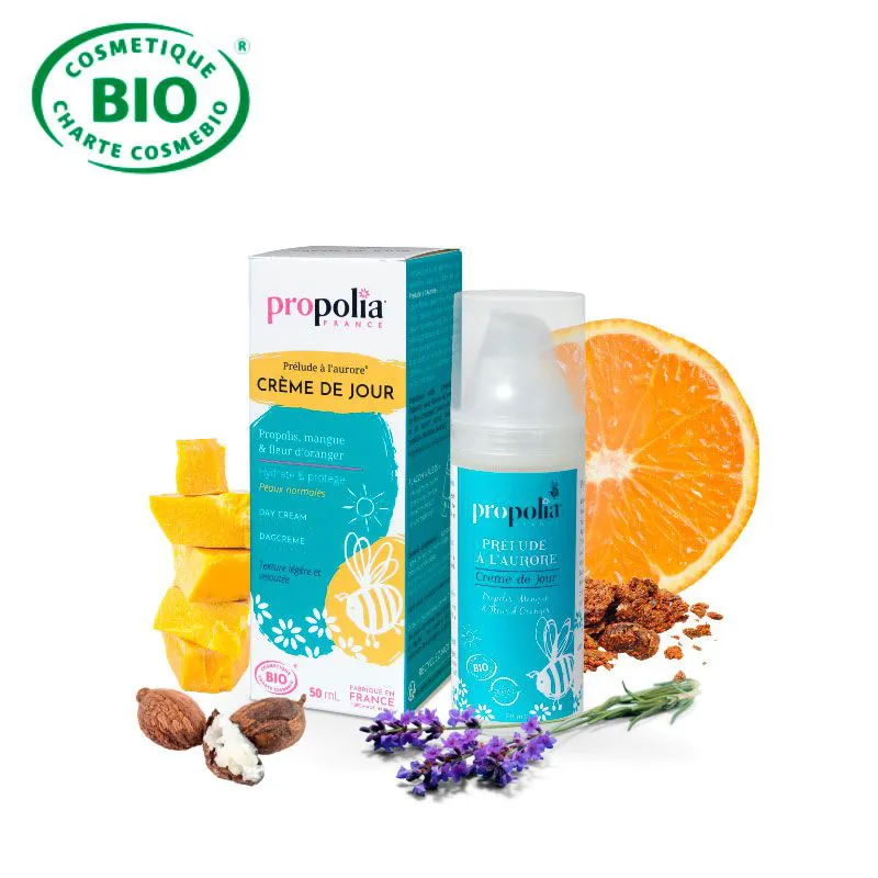 creme-de-jour-peaux-normales (1)